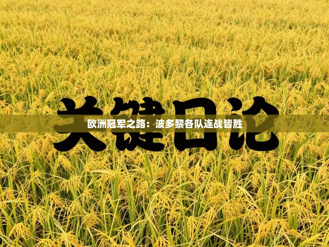 欧洲冠军之路：波多黎各队连战皆胜