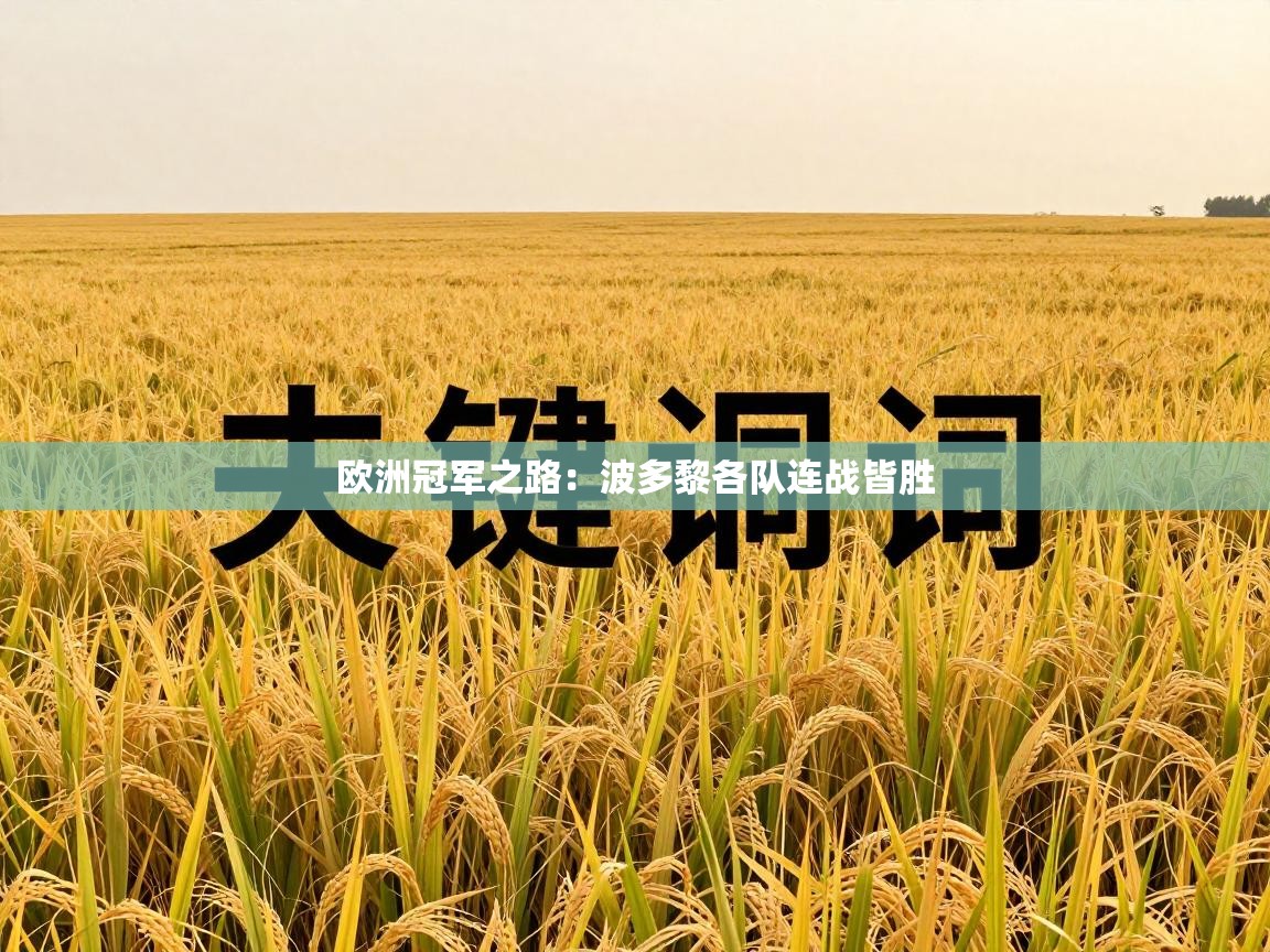 欧洲冠军之路：波多黎各队连战皆胜  第2张